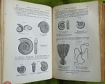Elements of Geology.