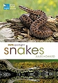 RSBP Spotlight: Snakes.