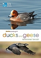 RSBP Spotlight: Ducks and Geese.
