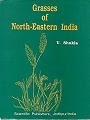 The Grasses of North-Eastern India.