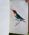 The Natural History of Humming-birds.