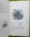 A History of British Birds.
