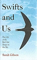 Swifts and Us.