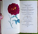 A Concise and Practical Treatise on the Growth and Culture of the Carnation, Pink Auricula, Polyanthus, Ranunculus, Tulip, Hyacinth and Rose, and Other Flowers;