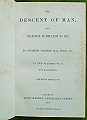 The Descent of Man. 
