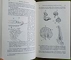The Structure and Development of the Mosses and Ferns (Archegoniatae).