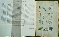 An Introduction to Botany, 