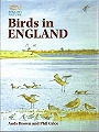 Birds in England.