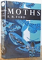 Moths.