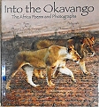 Into the Okavango.