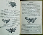 An Illustrated Natural History of British Moths.