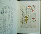 Conradi Gesner Historia Plantarum.