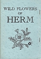 Wild Flowers of Herm.