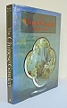 The Chinese Garden.
