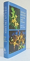 African Orchids in the Wild and in Cultivation.