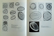An Illustrated Guide to Pollen Analysis. 