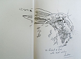 The Winter Hare.