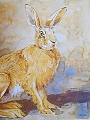 The Winter Hare.