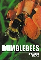 Bumblebees.