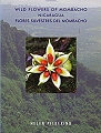 Wild Flowers of Mombacho Nicaragua. 