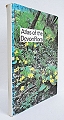 Atlas of the Devon Flora.