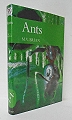 Ants. 