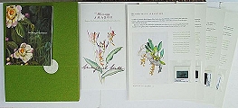 The Flowering Amazon.