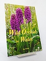 Wild Orchids in Wales.