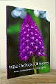 Wild Orchids of Surrey.