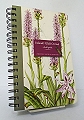Ireland�s Wild Orchids.