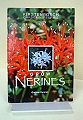 Grow Nerines.