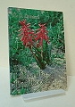 The Lachenalia Handbook.