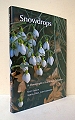 Snowdrops.