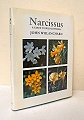 Narcissus.