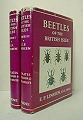 Beetles of the British Isles.