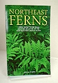 Northeast Ferns.
