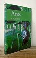 Ants. 