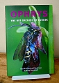 Ophrys. 